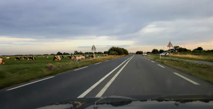 Anın Fotoğrafı