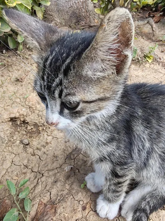 Anın Fotoğrafı