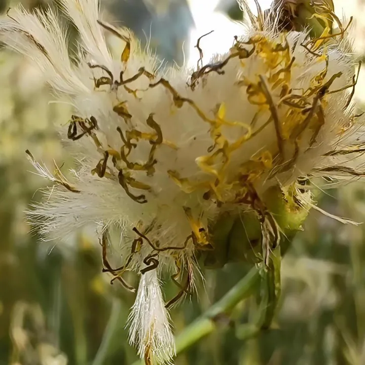 Anın Fotoğrafı