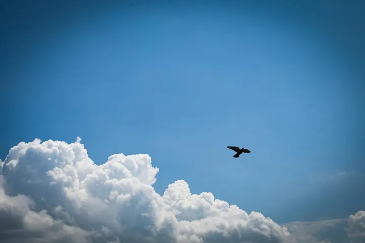 Anın Fotoğrafı