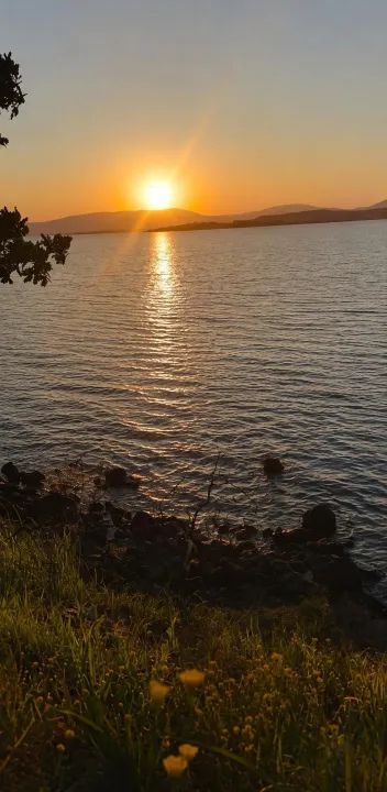Anın Fotoğrafı