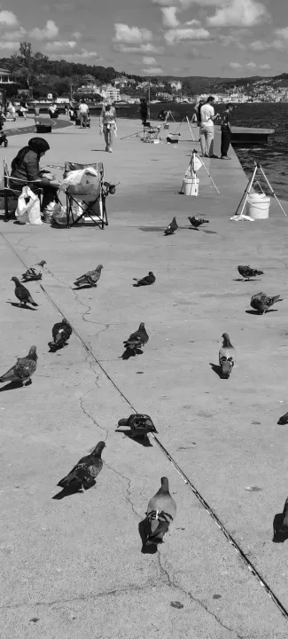 Anın Fotoğrafı