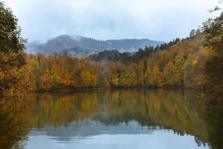 Anın Fotoğrafı