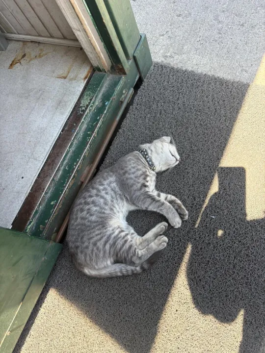 Anın Fotoğrafı