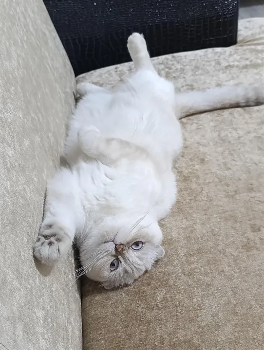 Anın Fotoğrafı