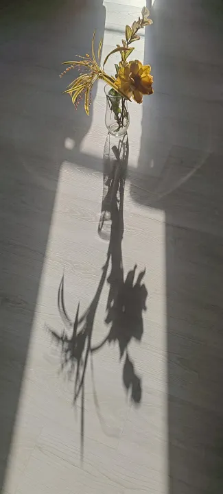 Anın Fotoğrafı