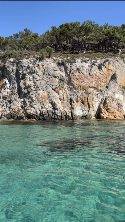 Anın Fotoğrafı