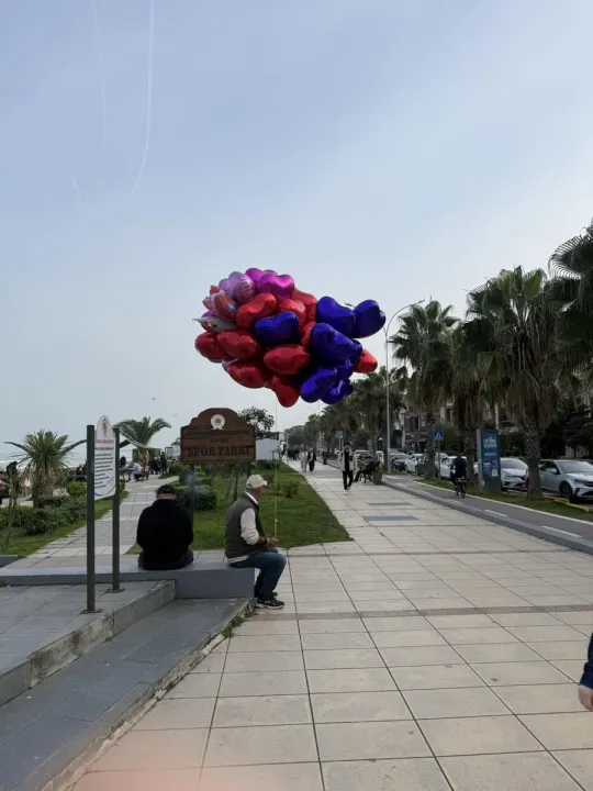 Anın Fotoğrafı