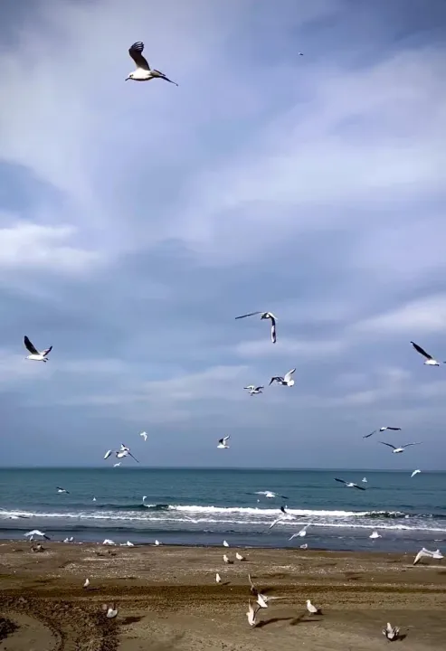 Anın Fotoğrafı