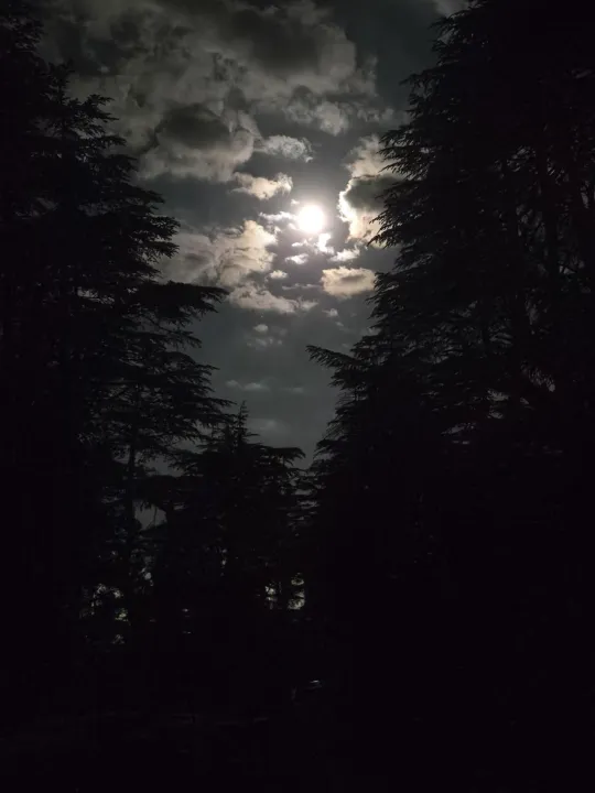 Anın Fotoğrafı