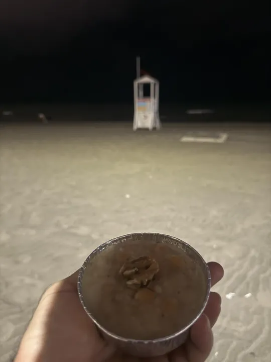 Anın Fotoğrafı