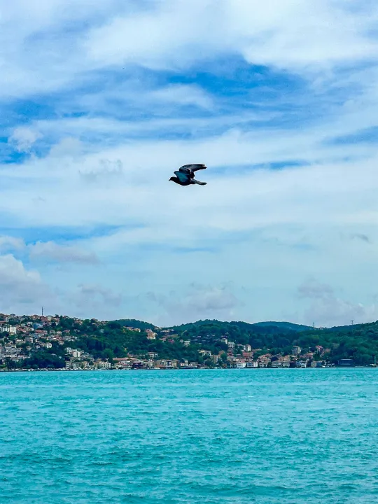 Anın Fotoğrafı
