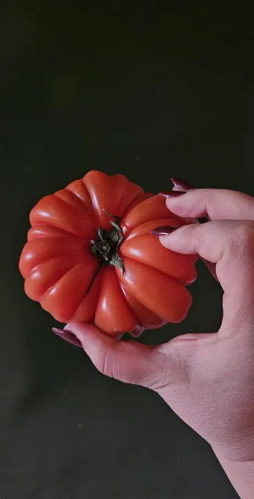 Anın Fotoğrafı