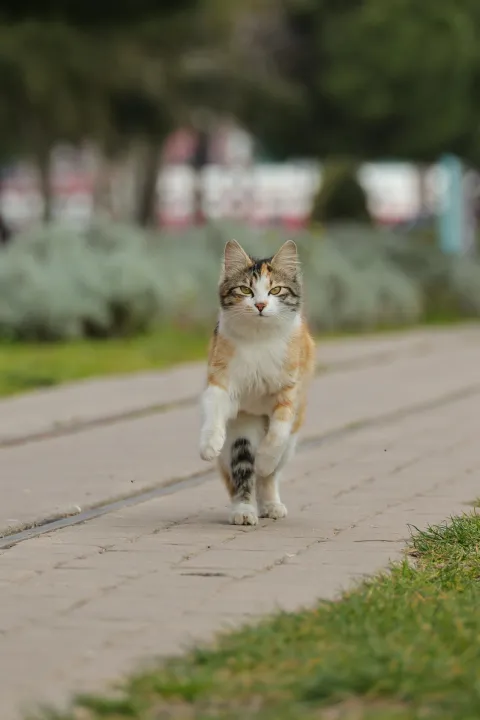 Anın Fotoğrafı