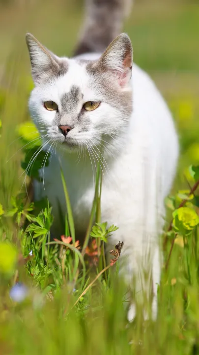 Anın Fotoğrafı