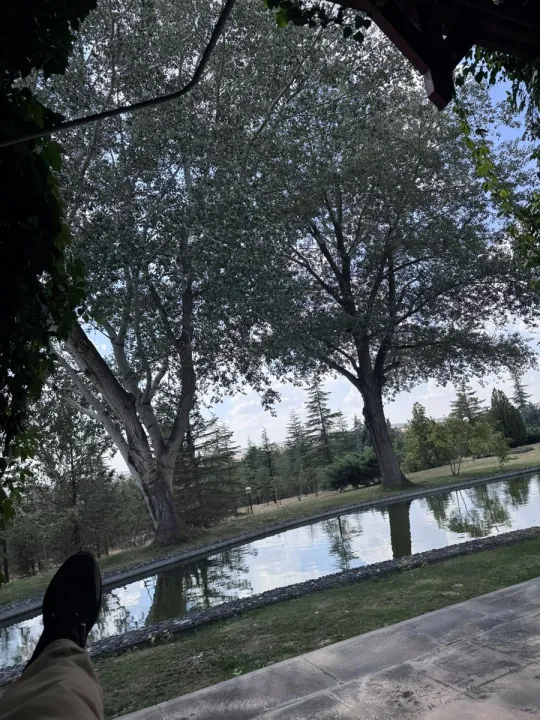 Anın Fotoğrafı