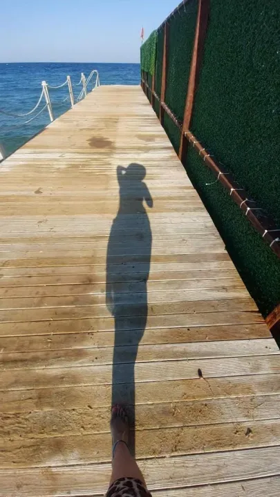 Anın Fotoğrafı