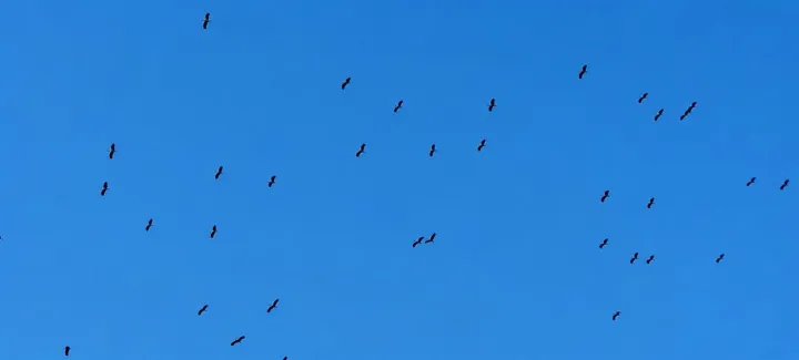 Anın Fotoğrafı