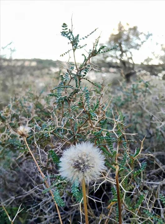 Anın Fotoğrafı
