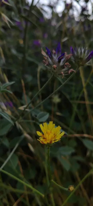 Anın Fotoğrafı