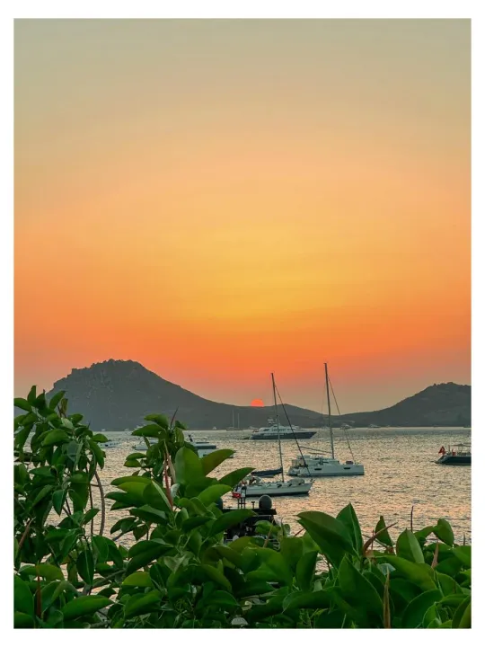 Anın Fotoğrafı