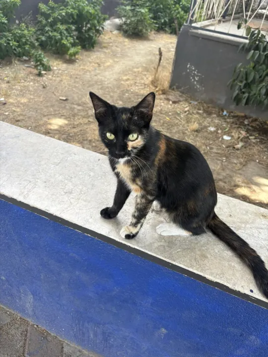 Anın Fotoğrafı