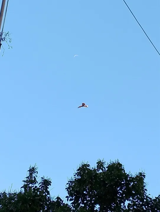 Anın Fotoğrafı