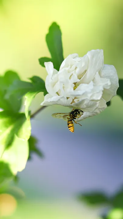Anın Fotoğrafı