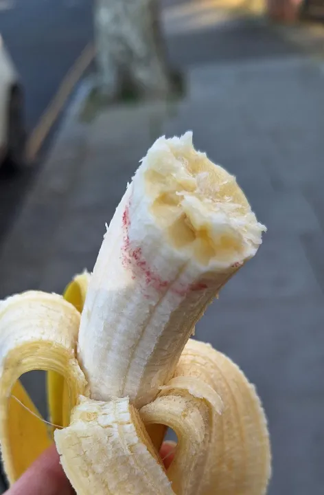 Anın Fotoğrafı