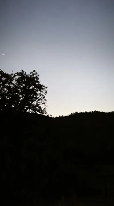 Anın Fotoğrafı