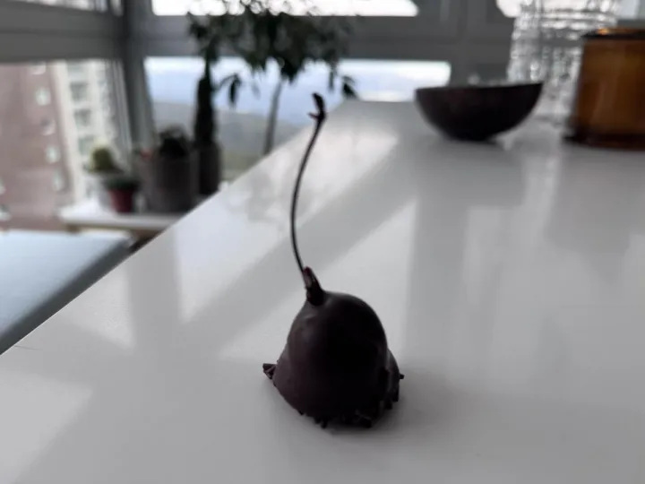 Anın Fotoğrafı