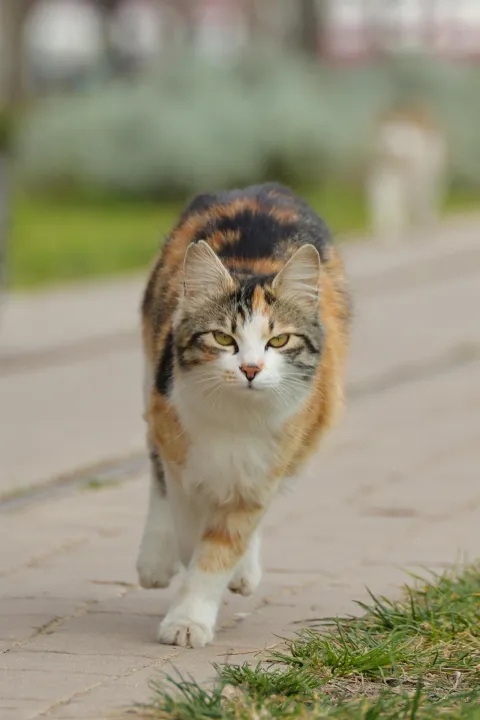 Anın Fotoğrafı