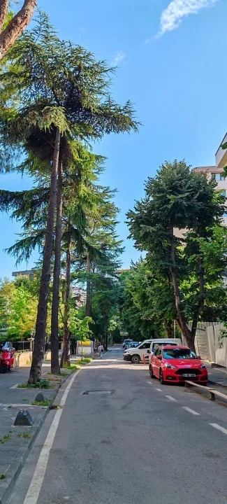 Çoklu paylaşım