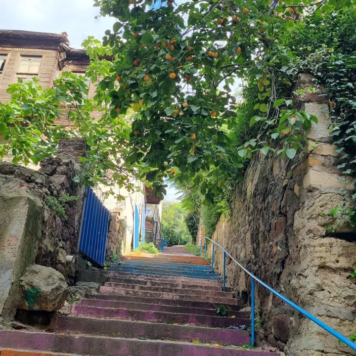 Anın Fotoğrafı