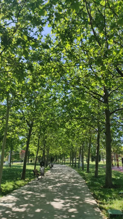 Çoklu paylaşım
