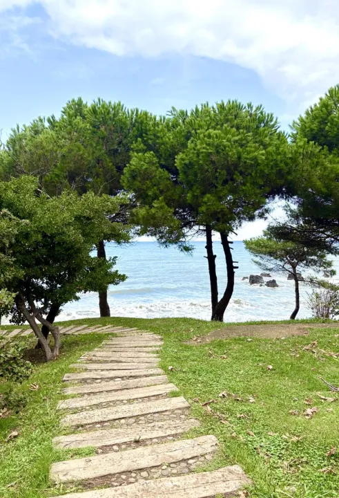 Anın Fotoğrafı