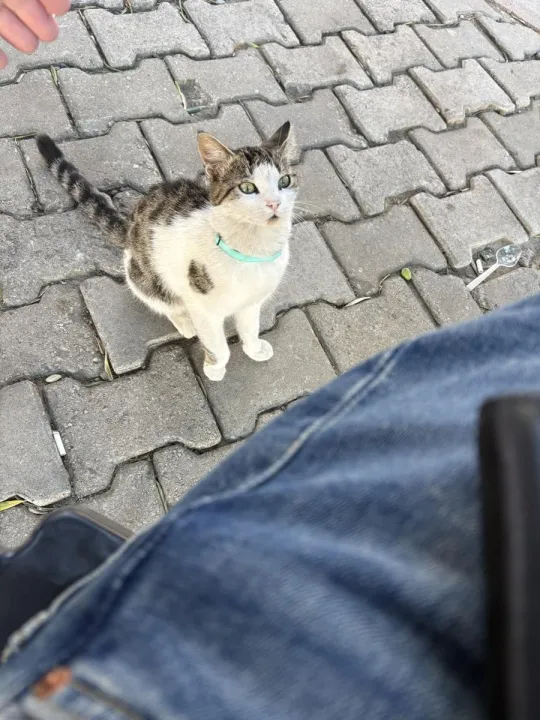 Anın Fotoğrafı