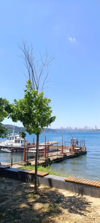 Çoklu paylaşım