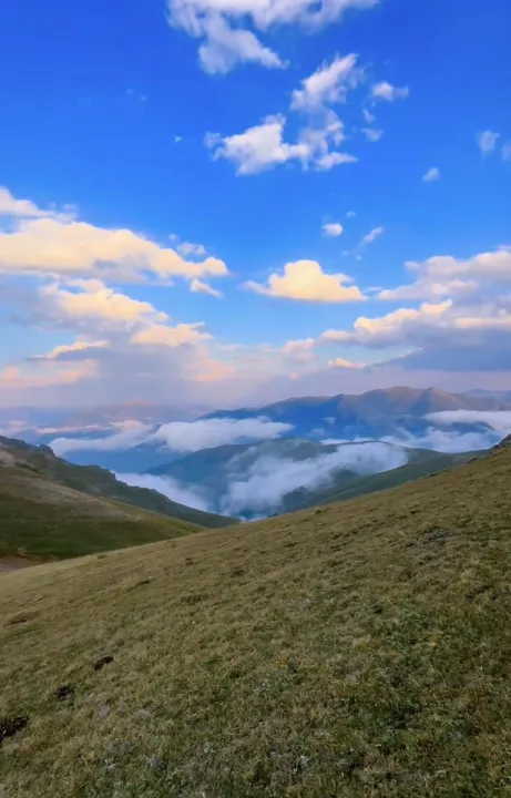 Anın Fotoğrafı