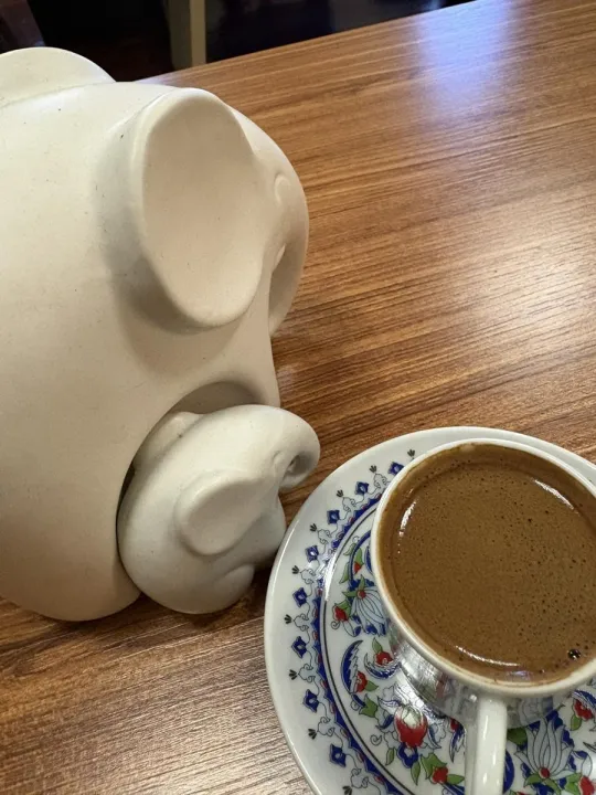 Anın Fotoğrafı