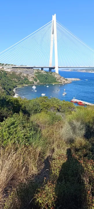Anın Fotoğrafı