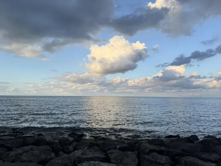 Anın Fotoğrafı