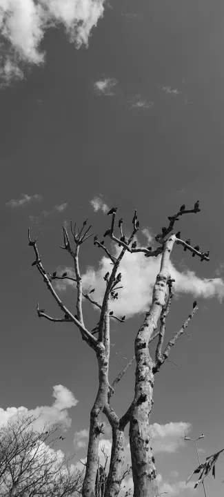 Anın Fotoğrafı