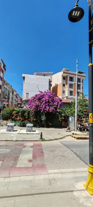 Anın Fotoğrafı