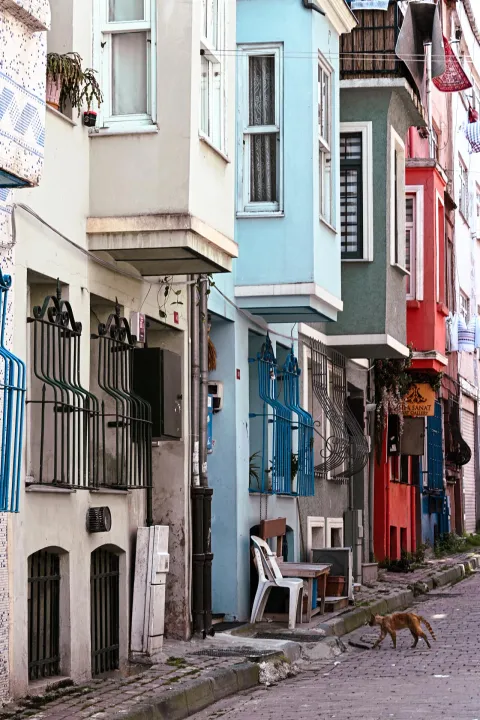 Anın Fotoğrafı
