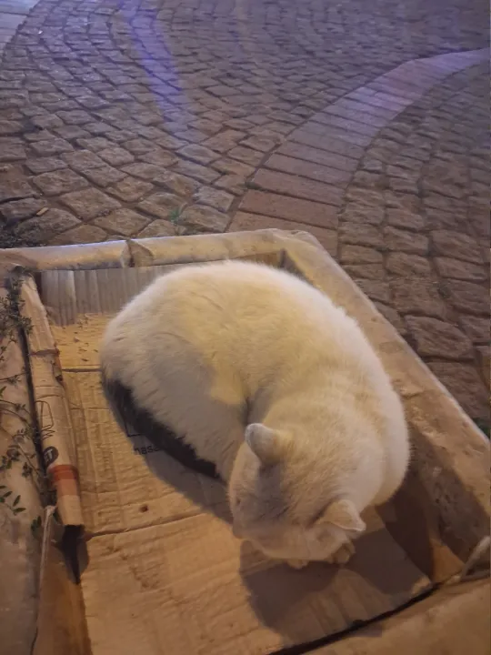 Anın Fotoğrafı