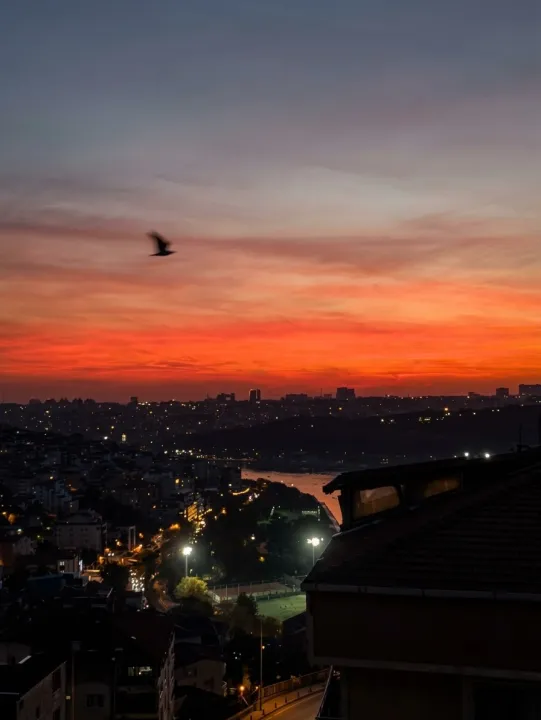 Anın Fotoğrafı