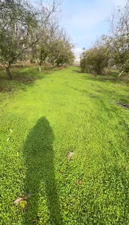 Anın Fotoğrafı