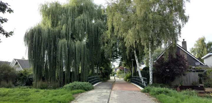 Anın Fotoğrafı