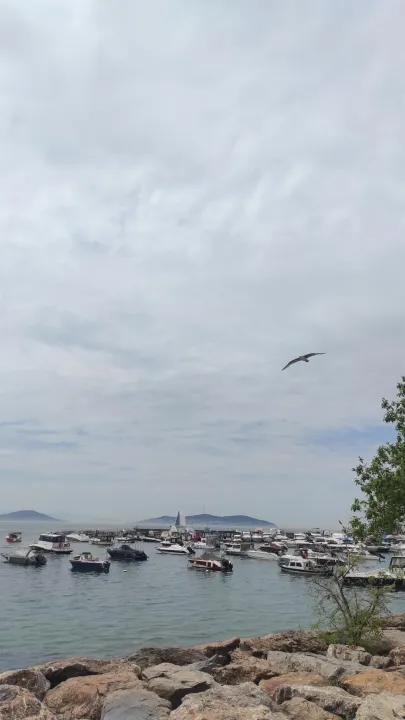 Anın Fotoğrafı